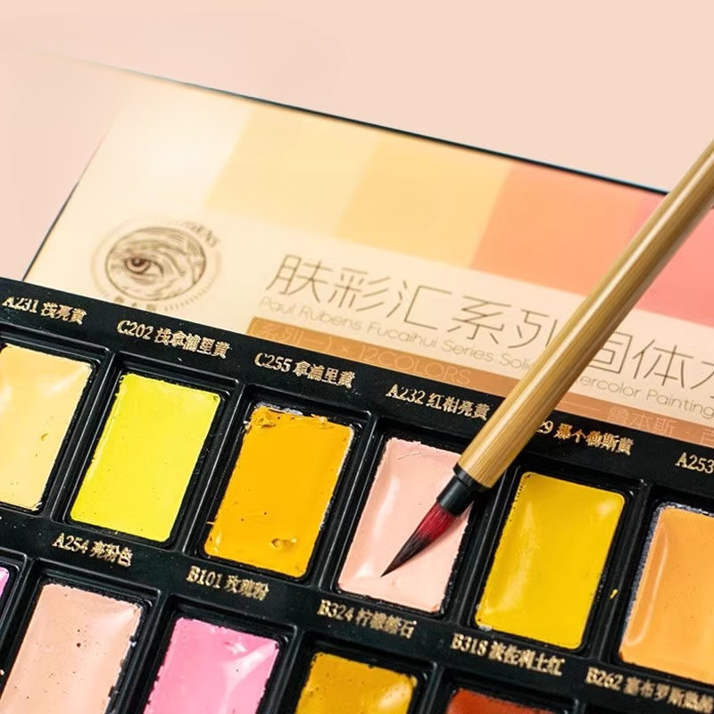 12color Skin Color Solid Water - Watercolor Paint Set Solid Pigment recension och pris